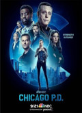 Chicago PD – 10ª Temporada [720p] Temporada 10 Capitulo 6 torrent