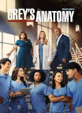 Anatomia de Grey – 1 Temporada 19 Capitulo 14 torrent