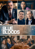 Blue Bloods – 1 Temporada 13 Capitulo 19 torrent