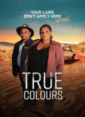 True Colours –  Temporada 1 Capitulo 1 torrent