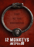 12 monos –  [720p] Temporada 4 Capitulo 6 torrent