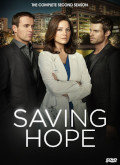 Saving Hope –  Temporada 2 Capitulo 15 torrent