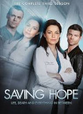 Saving Hope –  Temporada 3 Capitulo 7 torrent