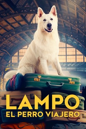 Descargar Lampo, el perro viajero  torrent gratis