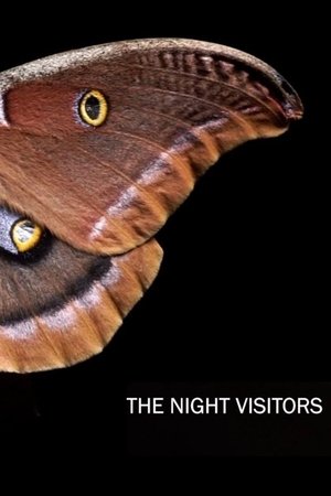 The Night Visitors torrent