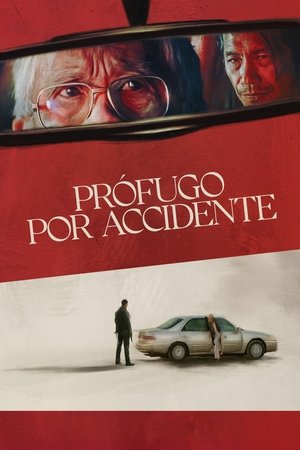 Prófugo por accidente torrent