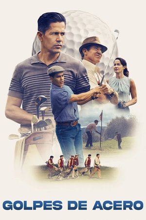 Descargar Golpes de acero  torrent gratis