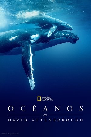 Océanos con David Attenborough torrent