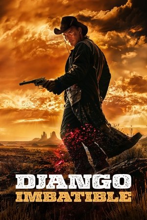 Django imbatible torrent