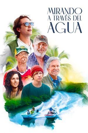 Descargar Mirando a través del agua  torrent gratis