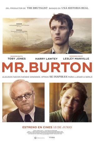 Descargar Mr. Burton  torrent gratis