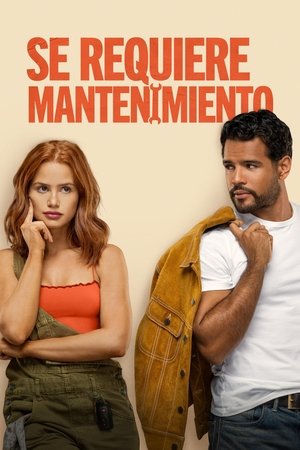 Descargar Se requiere mantenimiento  torrent gratis