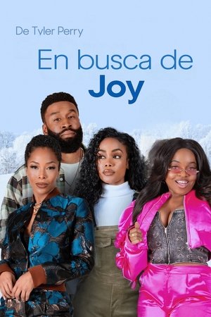 Descargar En busca de Joy  torrent gratis