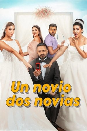 Un novio, dos novias torrent