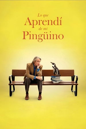 Lo que aprendí de mi pingüino torrent