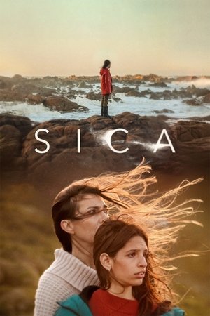 Sica torrent